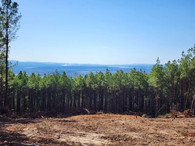 Off-Grid Cabin Building Location – Panoramic Mountain Views - image 7