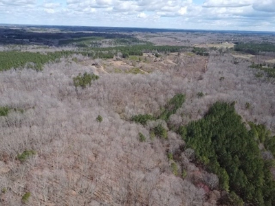 92 Acre Rustic Retreat In Southern VA - image 32