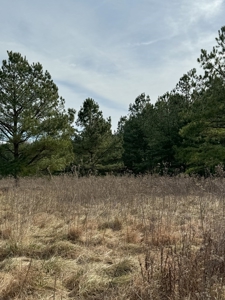 92 Acre Rustic Retreat In Southern VA - image 8