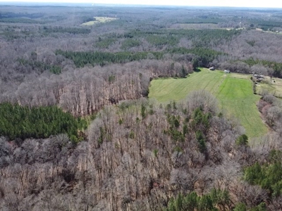 92 Acre Rustic Retreat In Southern VA - image 27