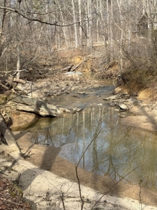 92 Acre Rustic Retreat In Southern VA - image 15