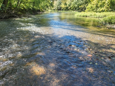 Southwest Missouri Shoal Creek Recreational Property - image 4