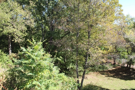 Southwest Missouri Shoal Creek Recreational Property - image 50