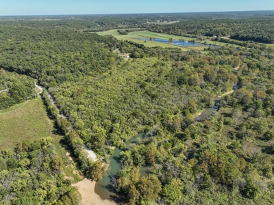 Southwest Missouri Shoal Creek Recreational Property - image 1