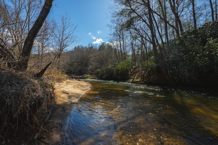 Offering #1 - Property with Creek Frontage for Sale in VA - image 14