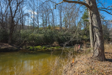 Offering #1 - Property with Creek Frontage for Sale in VA - image 26