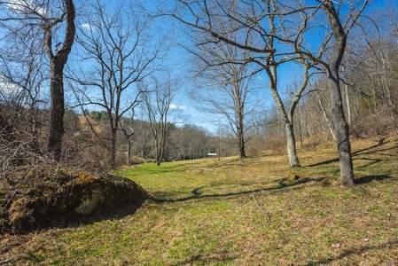 Offering #1 - Property with Creek Frontage for Sale in VA - image 36