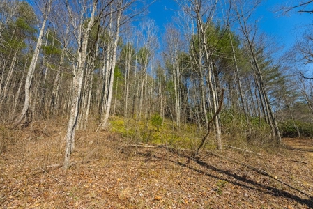 Offering #1 - Property with Creek Frontage for Sale in VA - image 29