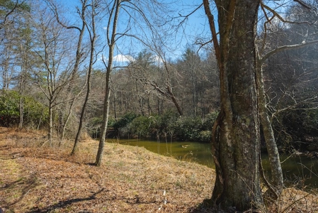 Offering #1 - Property with Creek Frontage for Sale in VA - image 24