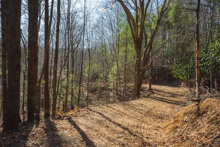 Offering #1 - Property with Creek Frontage for Sale in VA - image 40