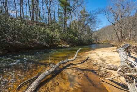 Offering #1 - Property with Creek Frontage for Sale in VA - image 21
