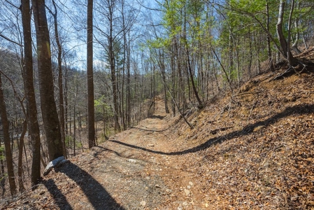 Offering #1 - Property with Creek Frontage for Sale in VA - image 5
