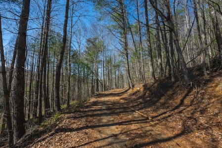 Offering #1 - Property with Creek Frontage for Sale in VA - image 6