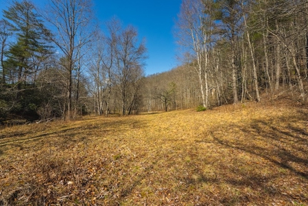 Offering #1 - Property with Creek Frontage for Sale in VA - image 28