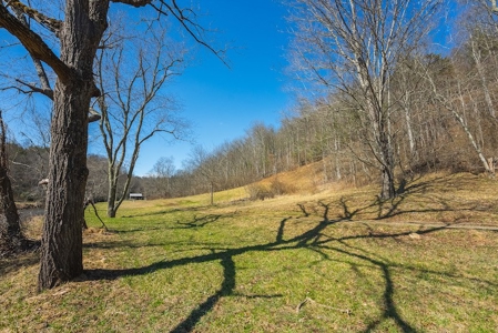Offering #1 - Property with Creek Frontage for Sale in VA - image 38