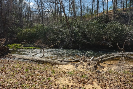 Offering #1 - Property with Creek Frontage for Sale in VA - image 20
