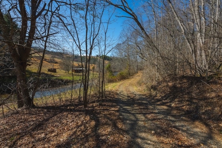 Offering #1 - Property with Creek Frontage for Sale in VA - image 9