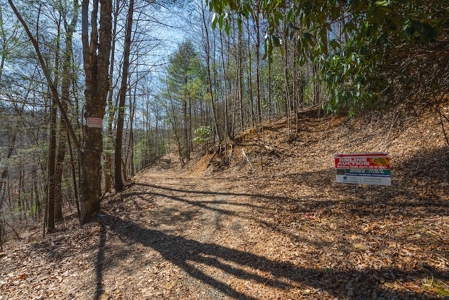 Offering #1 - Property with Creek Frontage for Sale in VA - image 2