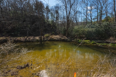 Offering #1 - Property with Creek Frontage for Sale in VA - image 27