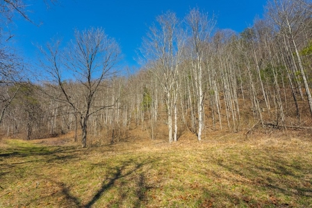 Offering #1 - Property with Creek Frontage for Sale in VA - image 31