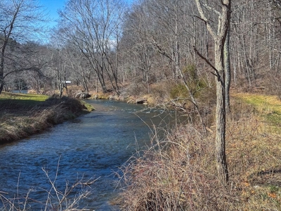 Offering #1 - Property with Creek Frontage for Sale in VA - image 45