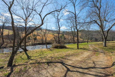 Offering #1 - Property with Creek Frontage for Sale in VA - image 35