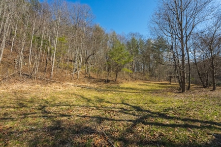 Offering #1 - Property with Creek Frontage for Sale in VA - image 32