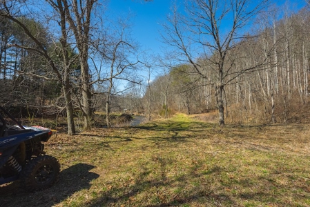 Offering #1 - Property with Creek Frontage for Sale in VA - image 13
