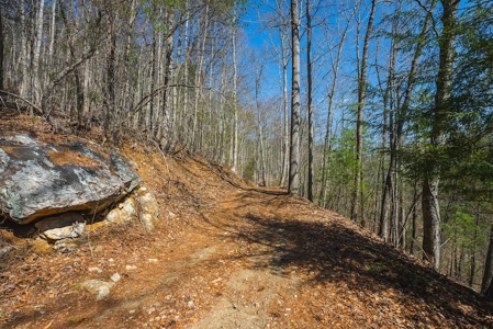 Offering #1 - Property with Creek Frontage for Sale in VA - image 7