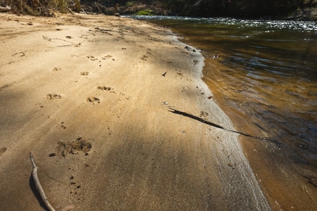 Offering #1 - Property with Creek Frontage for Sale in VA - image 17