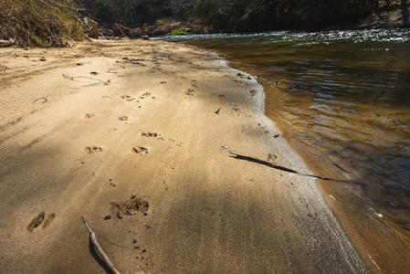 Offering #1 - Property with Creek Frontage for Sale in VA - image 16