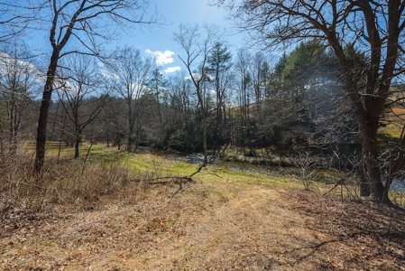 Offering #1 - Property with Creek Frontage for Sale in VA - image 8