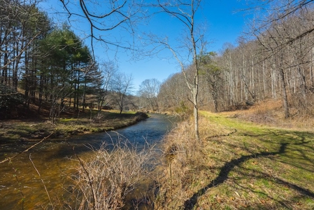 Offering #1 - Property with Creek Frontage for Sale in VA - image 33