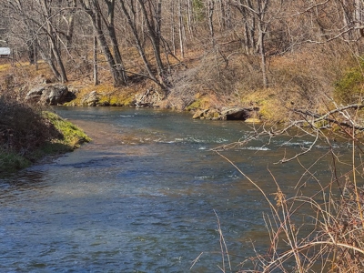 Offering #1 - Property with Creek Frontage for Sale in VA - image 44