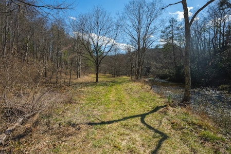 Offering #1 - Property with Creek Frontage for Sale in VA - image 10