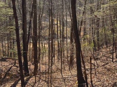 Offering #1 - Property with Creek Frontage for Sale in VA - image 42