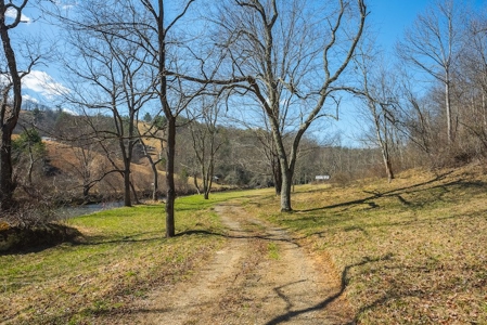 Offering #1 - Property with Creek Frontage for Sale in VA - image 34