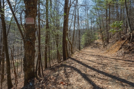Offering #1 - Property with Creek Frontage for Sale in VA - image 3
