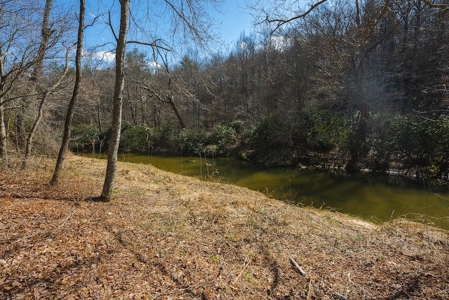 Offering #1 - Property with Creek Frontage for Sale in VA - image 23