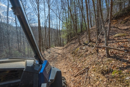 Offering #1 - Property with Creek Frontage for Sale in VA - image 4