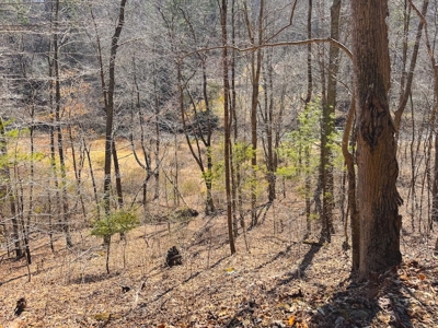Offering #1 - Property with Creek Frontage for Sale in VA - image 43