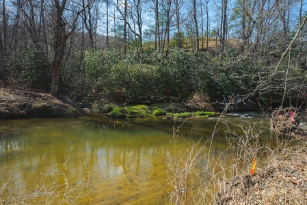 Offering #1 - Property with Creek Frontage for Sale in VA - image 25