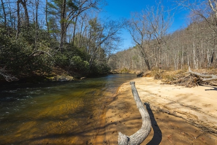 Offering #1 - Property with Creek Frontage for Sale in VA - image 22