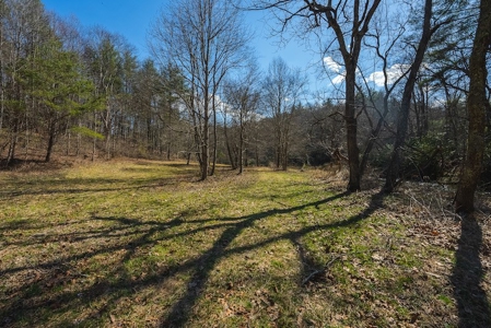 Offering #1 - Property with Creek Frontage for Sale in VA - image 12