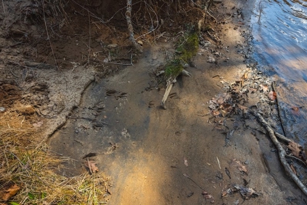 Offering #1 - Property with Creek Frontage for Sale in VA - image 15