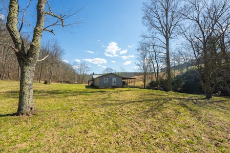Offering #2 - Creek Front Recreational Land for Sale - image 21