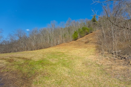 Offering #2 - Creek Front Recreational Land for Sale - image 8