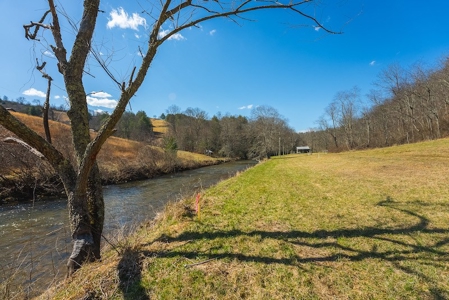 Offering #2 - Creek Front Recreational Land for Sale - image 7