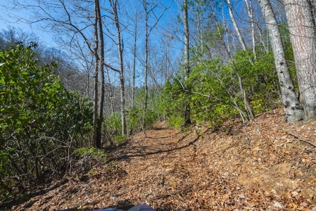 Offering #2 - Creek Front Recreational Land for Sale - image 35