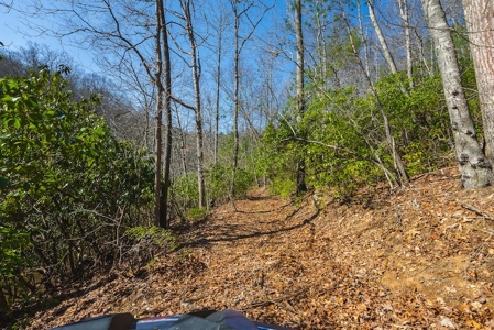 Offering #2 - Creek Front Recreational Land for Sale - image 34